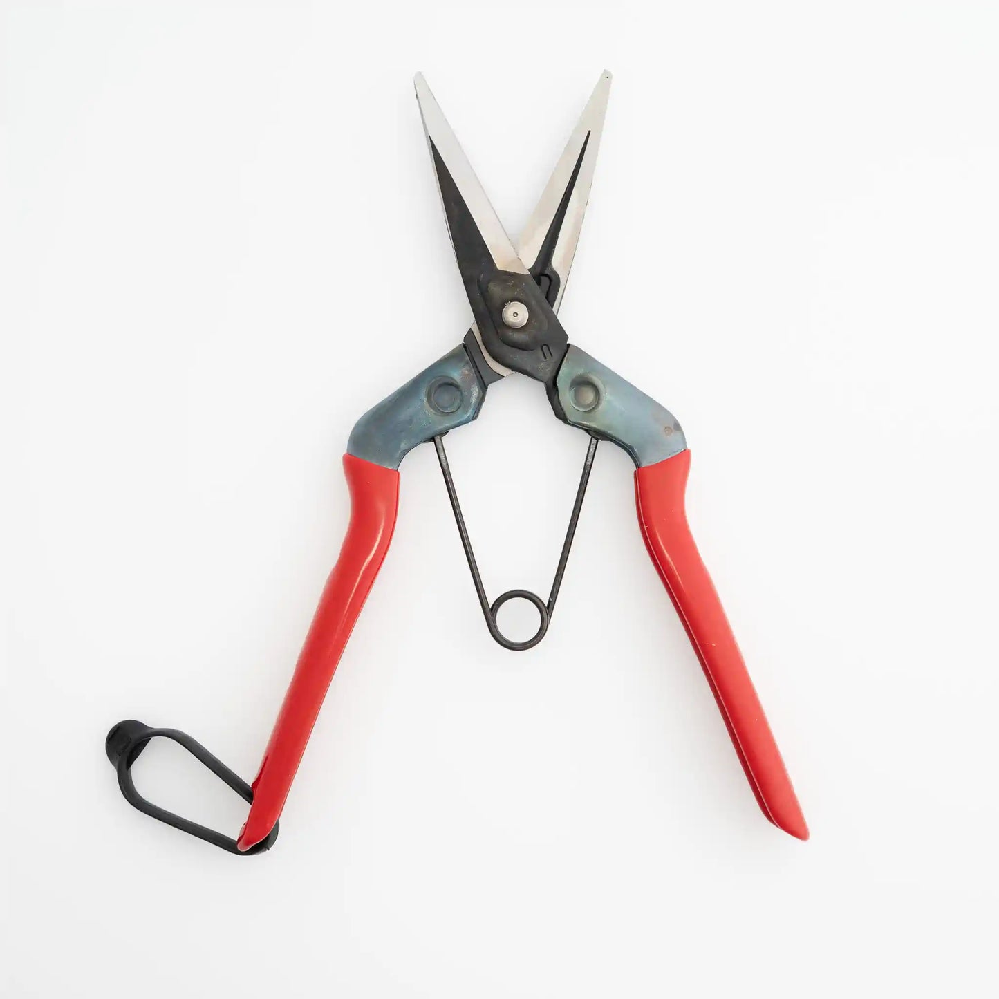 chikamasa garden scissors Chikamasa Almighty Shears T-600 – VITA COLLAGE